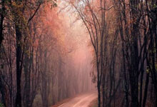 手机虎扑：阿联酋滑雪运动员：参加亚冬会是职业生涯最激动人心的经历2025-02-18.