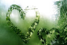 [NBA]赢了！扳回一场避免被横扫.