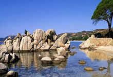 自由式滑雪——世锦赛：男子空中技巧决赛赛况.